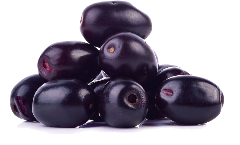 Java Plum (Jamun)