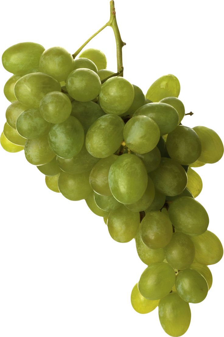grapes2
